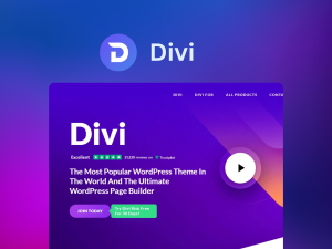 Divi Bundle